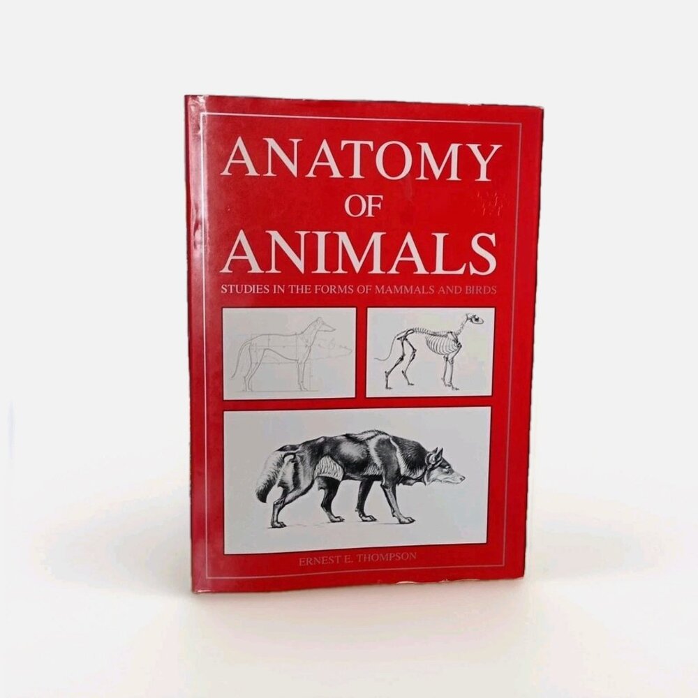 Anatomy of Animals Studies In The Forms Of Mammals And Birds Ernest E. Thompson